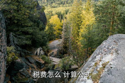 稅金如何計算,工程量清單計價稅金如何計算
