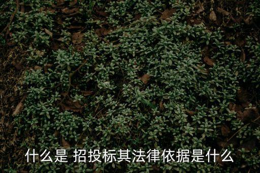 什么是 招投標(biāo)其法律依據(jù)是什么