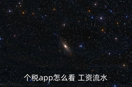 個(gè)稅app怎么看 工資流水