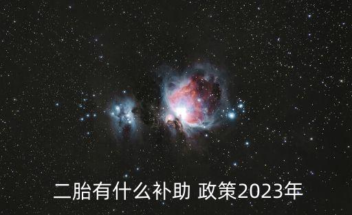 二胎政策