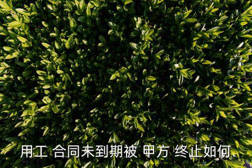 用工 合同未到期被 甲方 終止如何