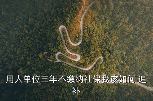 追補(bǔ),匯算清繳后取得發(fā)票如何追補(bǔ)