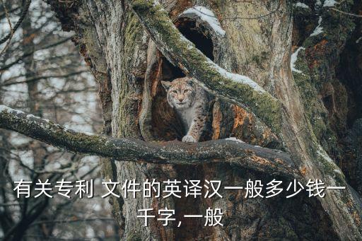 翻譯文件價(jià)格,技術(shù)文件翻譯價(jià)格