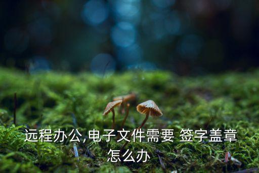 人在異地如何遠(yuǎn)程簽字,如何實現(xiàn)遠(yuǎn)程簽字