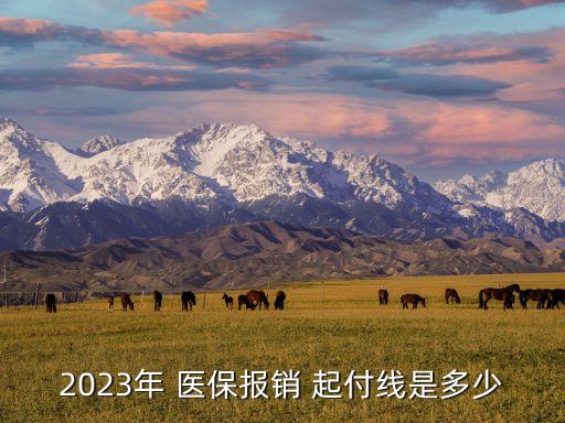 醫(yī)保起付線是多少,三甲醫(yī)院醫(yī)保起付線是多少