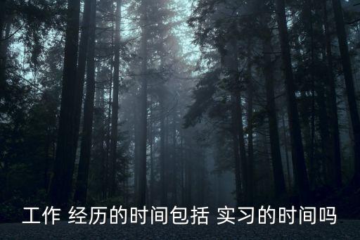 實(shí)習(xí)算工作經(jīng)歷嗎