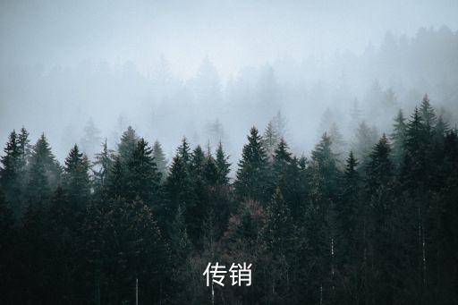 新型傳銷