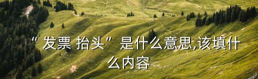 什么是發(fā)票抬頭