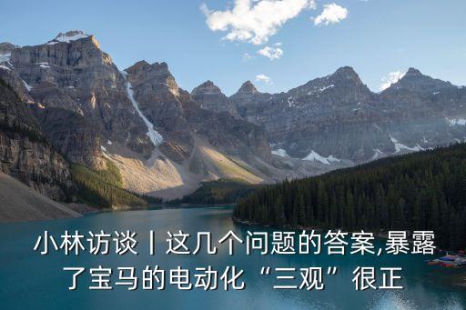  小林訪談丨這幾個(gè)問題的答案,暴露了寶馬的電動(dòng)化“三觀”很正