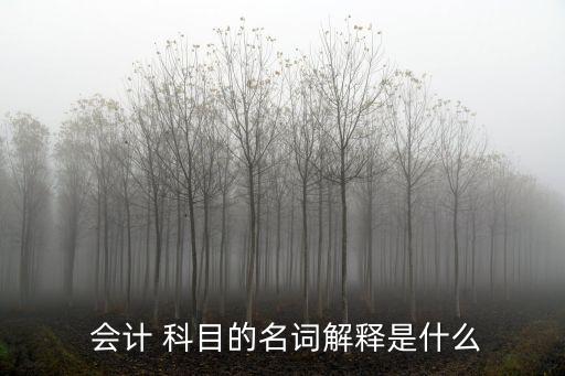 會(huì)計(jì)科目是