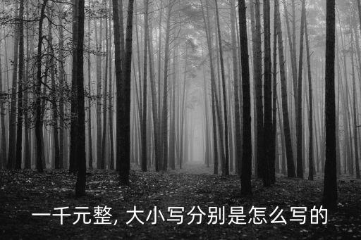 一千元整, 大小寫分別是怎么寫的