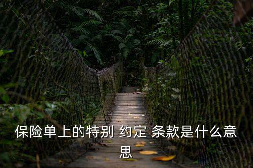 保險(xiǎn)單上的特別 約定 條款是什么意思