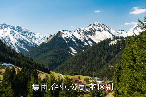 集團(tuán)公司