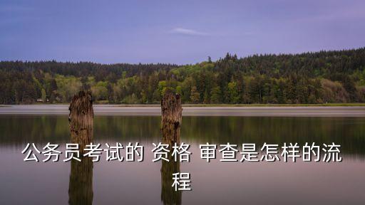 資格審查