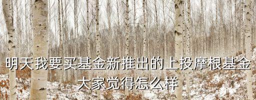 明天我要買基金新推出的上投摩根基金大家覺得怎么樣