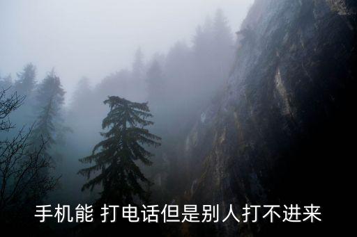手機(jī)能 打電話但是別人打不進(jìn)來