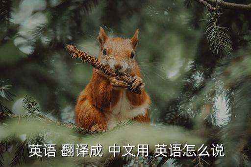  英語 翻譯成 中文用 英語怎么說