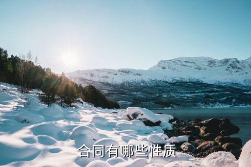 合同屬于什么法律行為,單務合同和單方法律行為