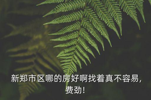 新鄭租房