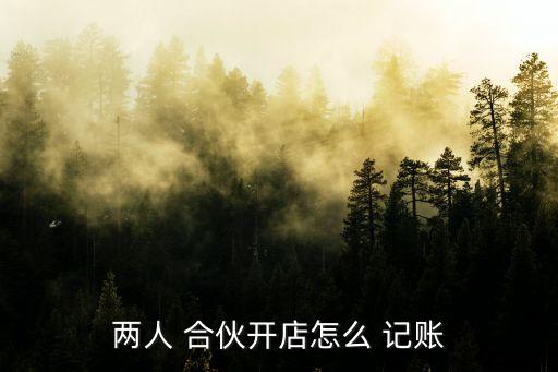 兩人 合伙開店怎么 記賬