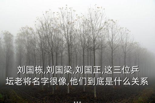 劉國棟
