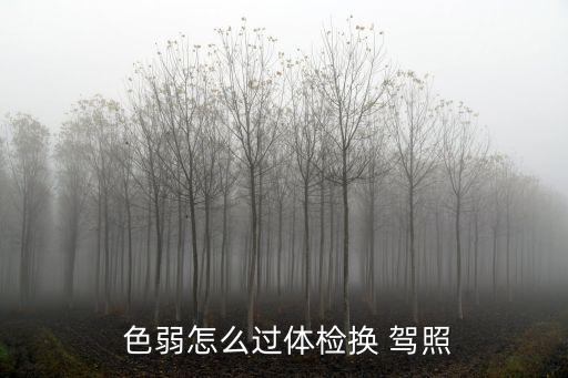 色弱考駕照