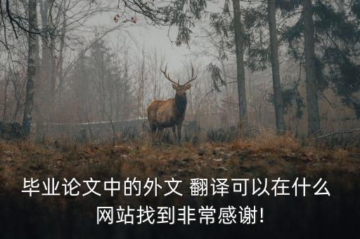 畢業(yè)論文中的外文 翻譯可以在什么 網(wǎng)站找到非常感謝!