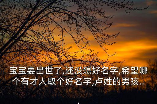 盧國棟