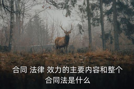 合同效力的法律體系有哪些,合同的效力論文2000字