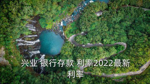 興業(yè)銀行利率