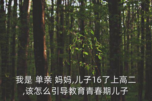單親媽媽與兒子,離婚太久和母親同居