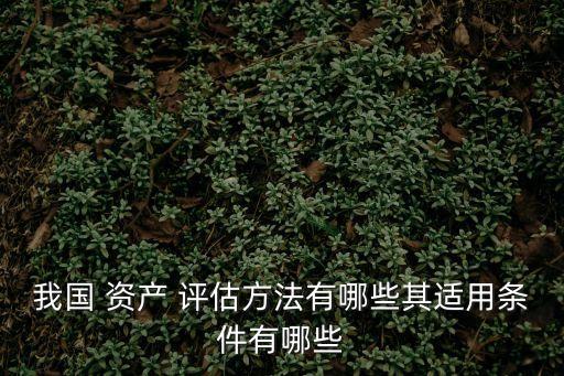 資產(chǎn)評(píng)估方法,國(guó)企收購民企的資產(chǎn)評(píng)估方法