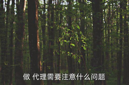 做 代理需要注意什么問題