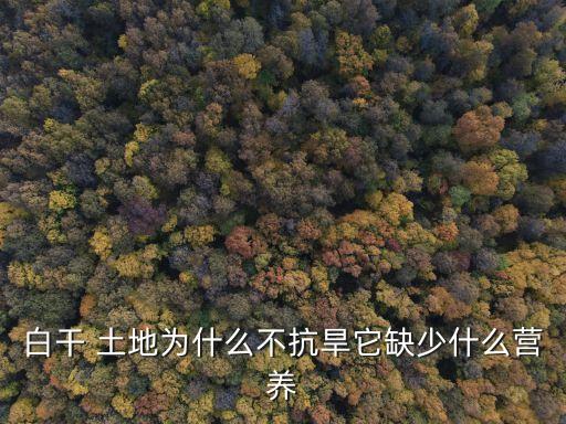 白土地