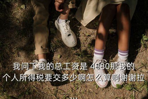 我問下我的總工資是 4880那我的個人所得稅要交多少啊怎么算啊謝謝拉...