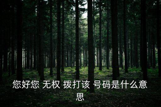 您好您 無權(quán) 撥打該 號碼是什么意思