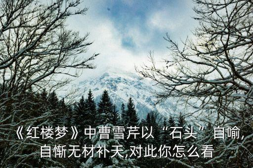 石呆子
