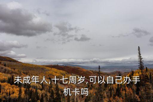 未成年可以辦電話卡嗎,有身份證的未成年可以辦電話卡嗎