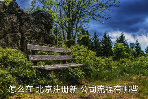 北京成立公司