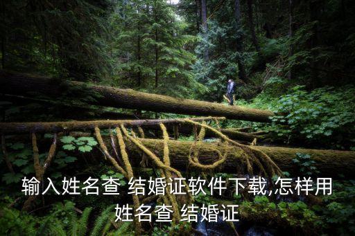 輸入姓名查 結(jié)婚證軟件下載,怎樣用姓名查 結(jié)婚證