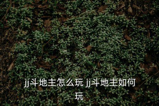 玩jj