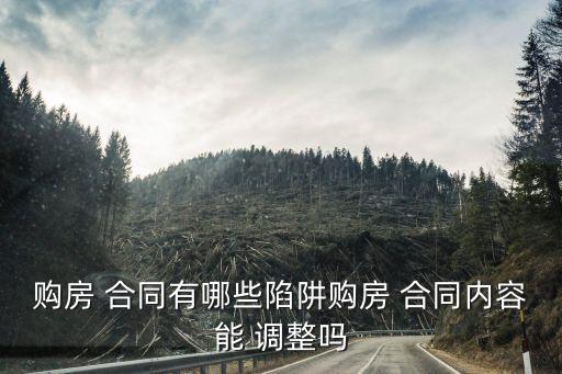 購房 合同有哪些陷阱購房 合同內(nèi)容能 調(diào)整嗎