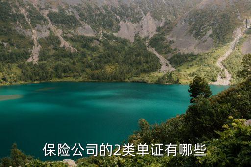 保險單證,車險偽造保險單證