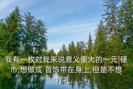 我有一枚對我來說意義重大的一元 硬幣,想做成 首飾帶在身上,但是不想打孔...