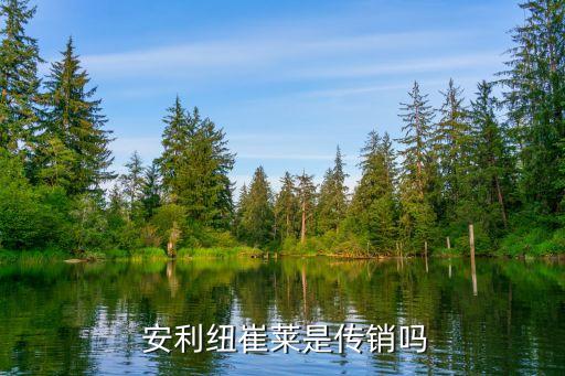 安利直銷