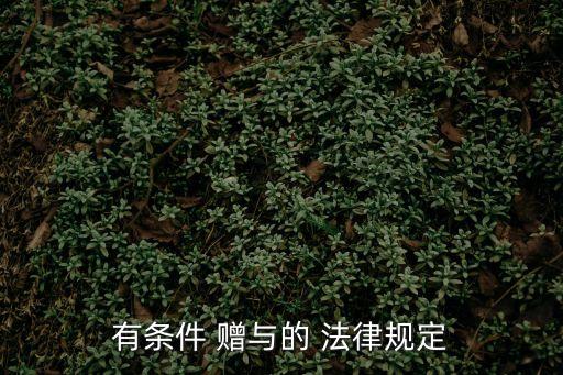 有條件 贈與的 法律規(guī)定