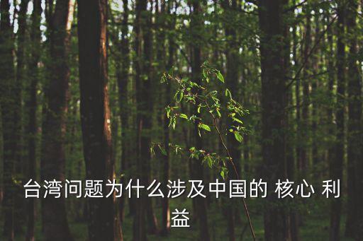 國家核心利益
