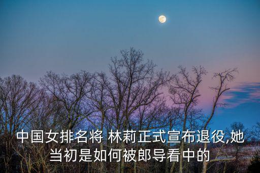 林莉