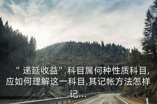 遞延收入,期權(quán)或其他遞延收入