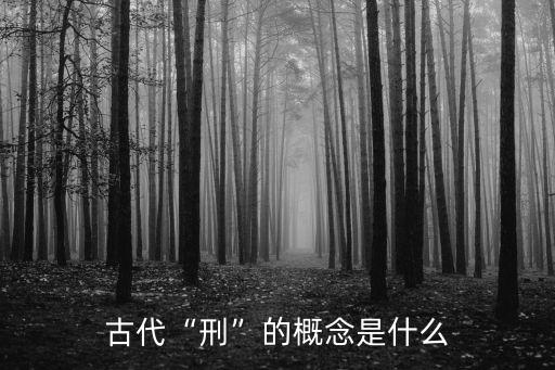 刑是什么意思,緩刑是什么意思